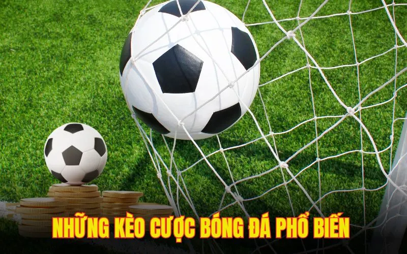 Cược tài xỉu dễ thắng, phù hợp cho người mới