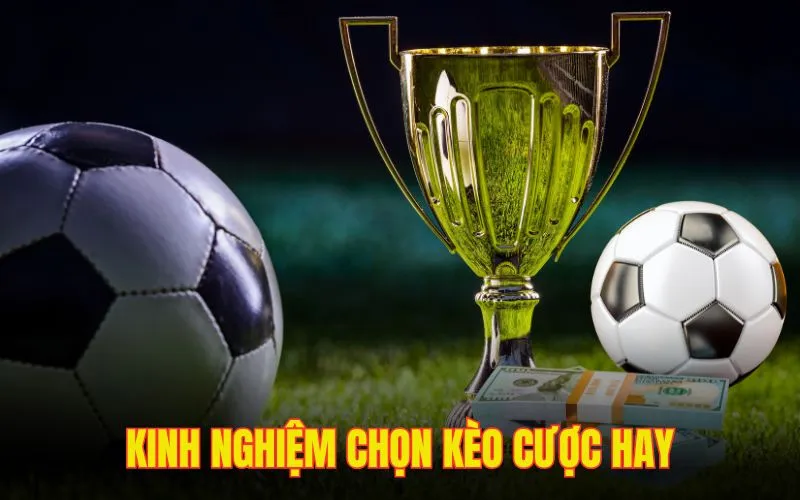 Bỏ túi kinh nghiệm chọn kèo hay, đúng chuẩn từ chuyên gia