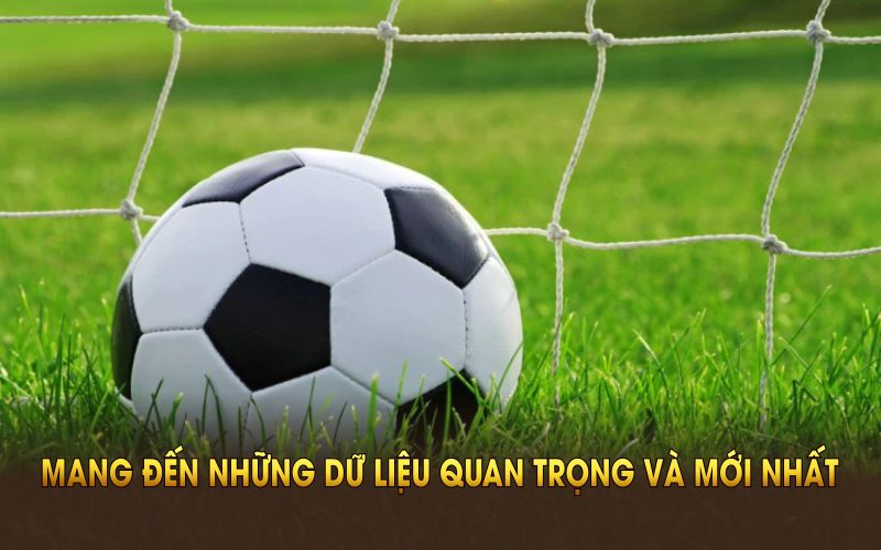 Tin về bóng đá mang đến những dữ liệu quan trọng và mới nhất về thế giới túc cầu